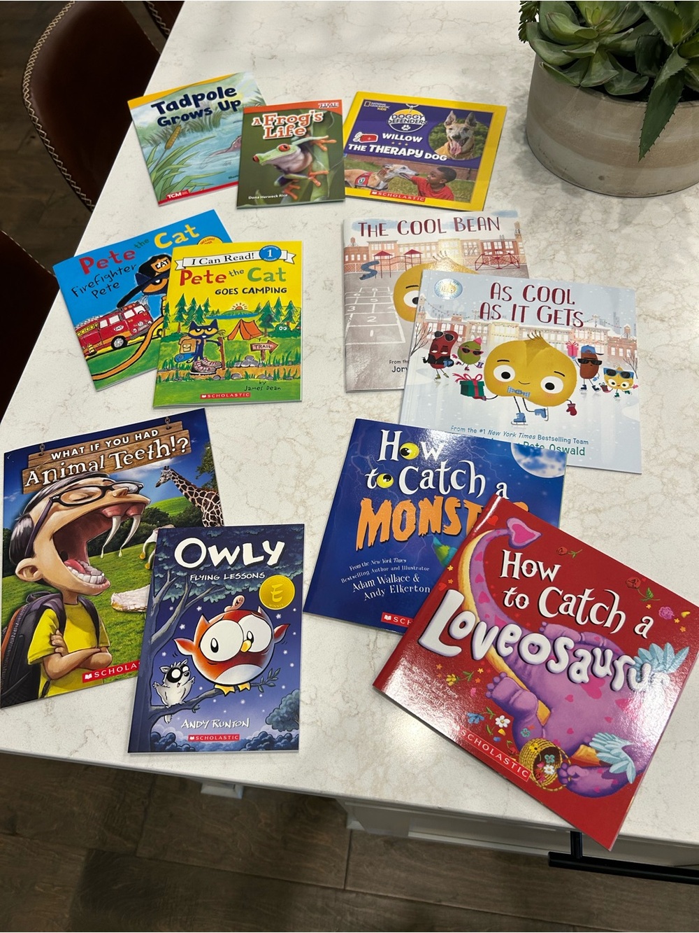 Assorted Children's Picture Books/set of 11 all brand new